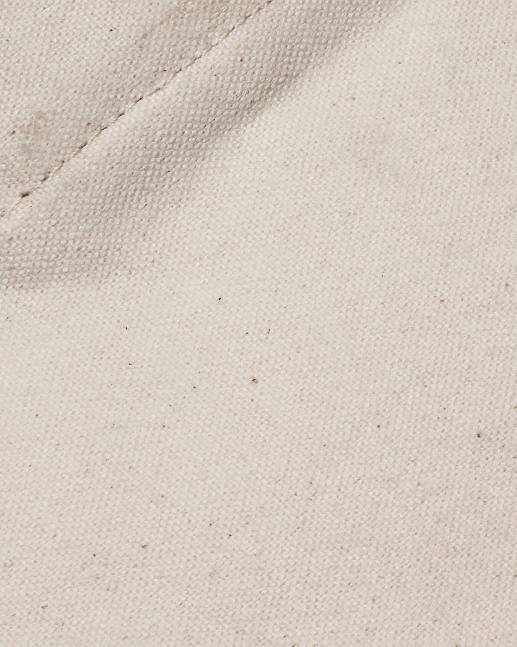 All City Tote- Paris